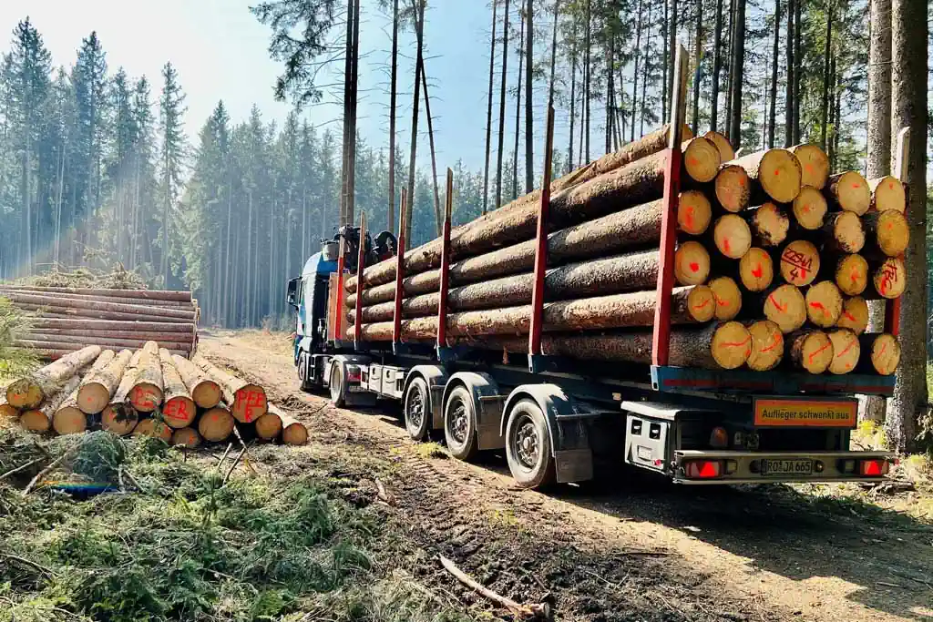 Holztransport Blockhausholz